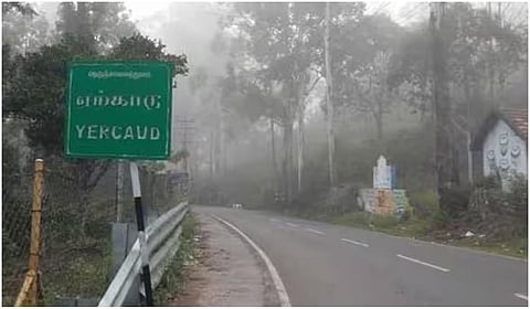 ஏற்காடு அடிவாரத்தில் காட்டு மாடு தாக்கியதில் விவசாயி உயிரிழப்பு
