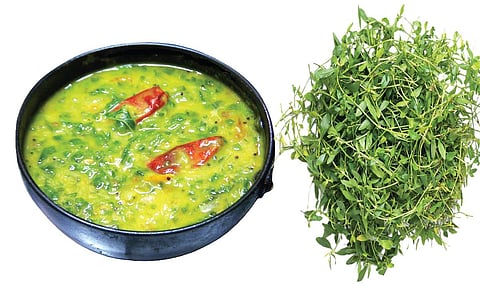 பச்சை வைரம் 23: கண் நோய்களைத் தீர்க்கும் பொன்னாங்கண்ணி
