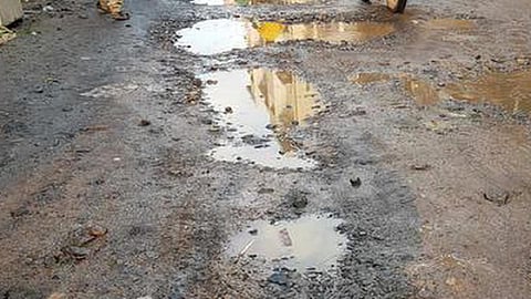பிரதிநிதித்துவப் படம்