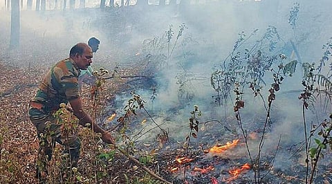 கொடைக்கானல் வனப்பகுதியில் ஏற்பட்ட காட்டுத்தீயை அணைக்கும் பணியில் ஈடுபட்ட வனத்துறையினர். 