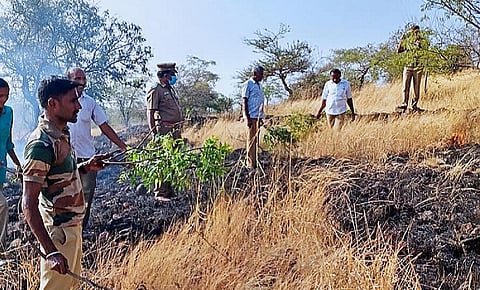 குன்னூரில் 8 நாட்களுக்கு பிறகு கட்டுக்குள் கொண்டுவரப்பட்ட காட்டுத் தீ