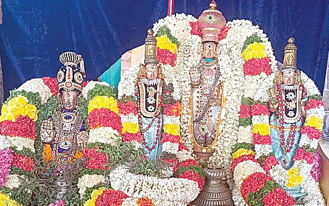 மாமல்லபுரத்தில் உள்ள தலசயன பெருமாள் கோயிலில் பங்குனி உத்திர திருக்கல்யாண உற்சவத்தில் சிறப்பு மலர் அலங்காரத்தில், நிலமங்கைத் தாயார், உபய நாச்சியார்களுடன் பக்தர்களுக்கு அருள்பாலித்த தலசயன பெருமாள்.