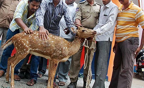 பிரதிநிதித்துவப் படம்