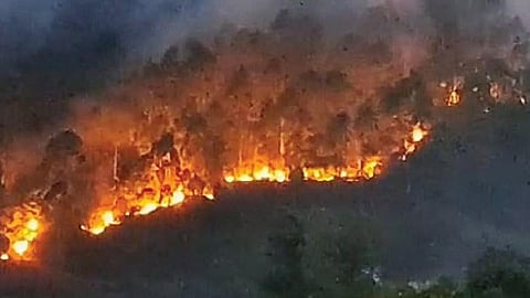 கொடைக்கானல் பெருமாள்மலை பகுதியில் பற்றி எரியும் காட்டுத் தீ.
