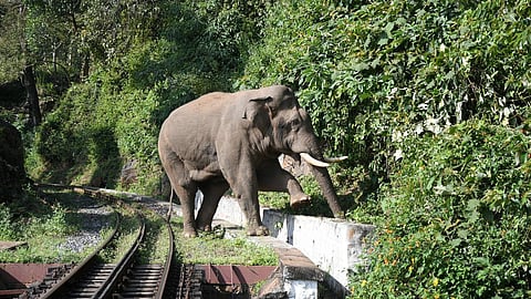 கோப்புப்படம்