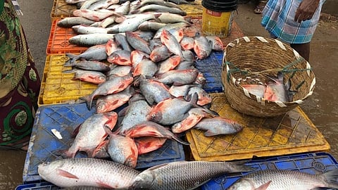 கோப்புப்படம்