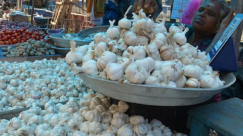 பிரதிநிதித்துவப் படம்