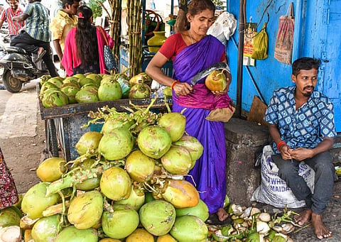 உடலின் நீரிழப்பு பாதிப்பை குறைக்கும் இளநீர் தரும் நன்மைகள் | கோடை ஸ்பெஷல்