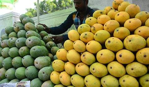 பிரதிநிதித்துவப் படம்