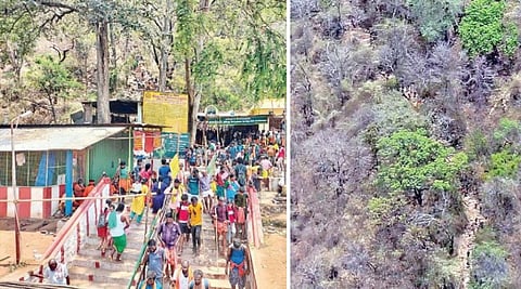 சித்ரா பெளர்ணமியை முன்னிட்டு வெள்ளியங்கிரி மலை ஏற திரண்ட பக்தர்கள் கூட்டம். (அடுத்த படம்) வெள்ளியங்கிரி மலை ஏறும் பக்தர்களை காட்டும் ‘ட்ரோன்’ படம்.