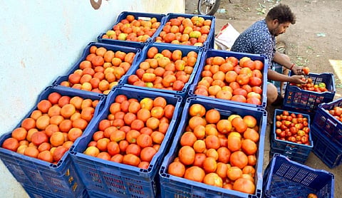 பிரதிநிதித்துவப் படம்