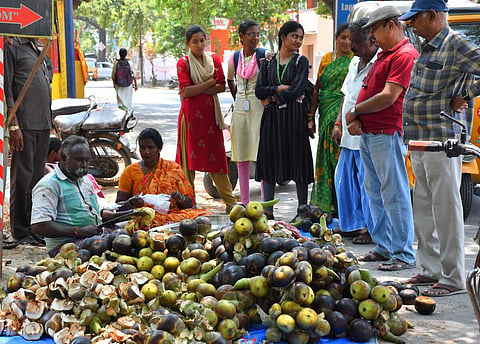வேலூரில் நாளுக்கு நாள் வெயிலின் தாக்கம் அதிகரித்து வரும் நிலையில் காட்பாடி பகுதி சாலையோரங்களில் உடல் சூட்டை தணிக்கும் நுங்கு விற்பனை ஜோராக நடைபெற்று வருகிறது. படம்: வி.எம்.மணிநாதன்.