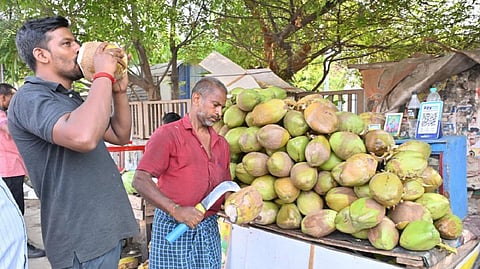 பிரதிநிதித்துவப் படம்