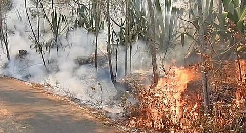 கொடைக்கானல் மேல்மலைப் பகுதியில் சாலையோரம் பற்றி எரியும் தீயால் எழுந்த புகை.