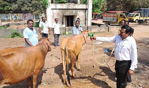 புதுச்சேரி வாரச்சந்தையில் மாடுகளுக்கு நீர்த் தொட்டி; தண்ணீர் தெளிக்கவும் ஏற்பாடு