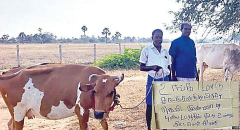 திருடுபோன மாடுகள் மீண்டும் கிடைத்த மகிழ்ச்சியில் விவசாயி பட்டுராஜ். ( உள்படம் ) தோட்ட வாயிலில் எழுதி வைக்கப்பட்டிருந்த அட்டை