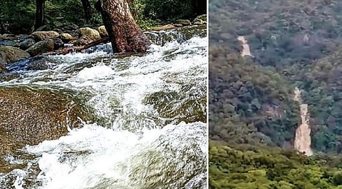 ராஜபாளையம் அய்யனார் கோயில் ஆற்றில் பெருக்கெடுத்து ஓடும் வெள்ளம். ( அடுத்தப்படம் ) ராஜபாளையம் மேற்குத் தொடர்ச்சி மலையில் உள்ள அருவியில் ஆர்ப்பரித்துக் கொட்டும் நீர்.