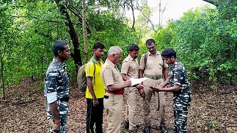 பொள்ளாச்சி வனச்சரகம் வில்லோனி வனப்பகுதியில் யானைகள் கணக்கெடுக்கும் பணியில் ஈடுபட்ட வனத்துறையினர்