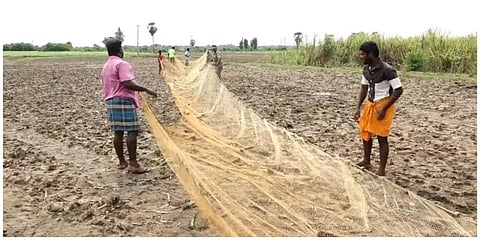 விழுப்புரம் அருகே காட்டுப்பன்றியை பிடிக்க கரும்பு தோட்டம் அருகே வலைவிரிப்பு
