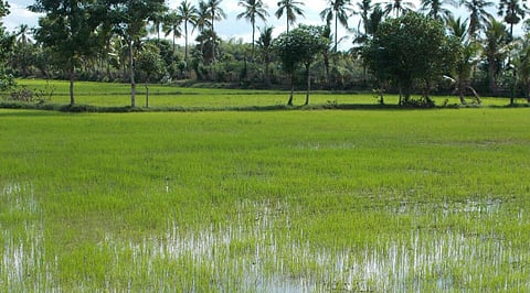 விவசாயிகள்