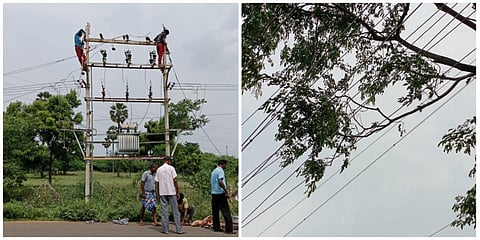 தென்காசியில் மின் பாதையில் முறிந்து விழுந்த மரக்கிளைகளை அகற்றி சீரமைப்புப் பணிகளில் ஈடுபடும் களப்பணியாளர்கள்