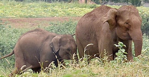 கோப்புப்படம்