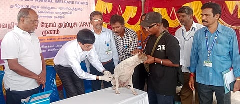 தமிழ்நாடு விலங்குகள் நல வாரியம் சார்பில் மெரினா கடற்கரையில் இன்று நடைபெற்ற செல்லப் பிராணிகளுக்கான தடுப்பூசி முகாமில் மாநகராட்சி ஆணையர் ஜெ.ராதாகிருஷ்ணன் பங்கேற்று, நாய்களுக்கு வெறிநோய் தடுப்பூசி செலுத்தினார்.