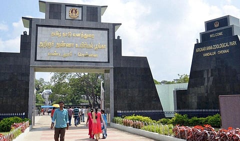 வண்டலூர் பூங்கா இன்று திறந்திருக்கும்