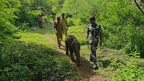 கோப்புப்படம்