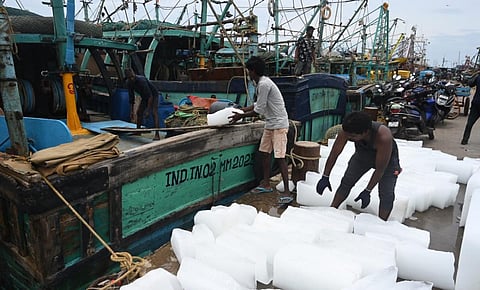 மீன்பிடித் தடைக்காலம் நாளை மறுநாளுடன் நிறைவடைவதை முன்னிட்டு, காசிமேடு மீன்பிடி துறைமுகத்தில் மீனவர்கள் இன்று ஐஸ் கட்டிகளை ஏற்றும் பணியில் தீவிரமாக ஈடுபட்டனர். படங்கள்: எஸ்.சத்தியசீலன்