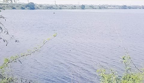 கழிவுநீர் கலந்த நத்தப்பேட்டை ஏரி நீர்