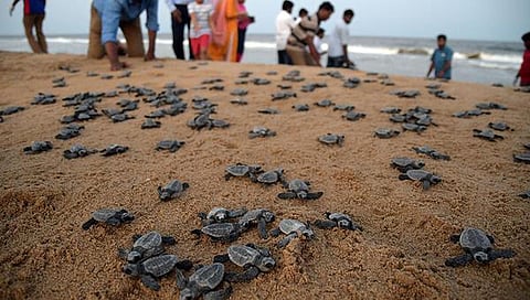 கோப்புப்படம்