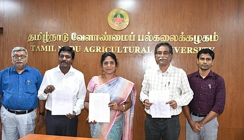 நடப்பு கல்வியாண்டு மாணவர் சேர்க்கைக்கான தரவரிசைப் பட்டியலை வெளியிட்ட வேளாண் பல்கலைக்கழக துணைவேந்தர் வெ.கீதாலட்சுமி. படங்கள் : ஜெ.மனோகரன்