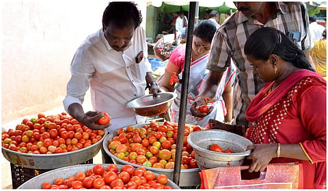 தக்காளி