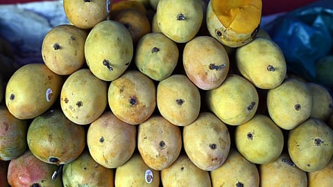 கோப்புப்படம்