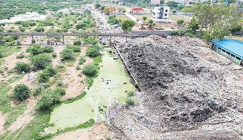 வேலூர் மாவட்ட ஆட்சியர் அலுவலகம் அருகே பாலாற்று படுகையில் மலை போல் குவிந்துள்ள குப்பை.