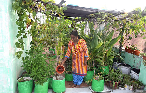 கோப்புப் படம்