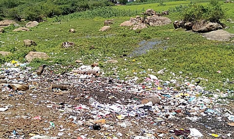 நீண்ட காலமாக தூர்வாரப்படாமல் போதிய பராமரிப்பின்றி குப்பை மேடாக உருமாறி வரும் காட்டாங்குளத்தூர் ஏரி. படம்: ஜெ.கு.லிஸ்பன் குமார்