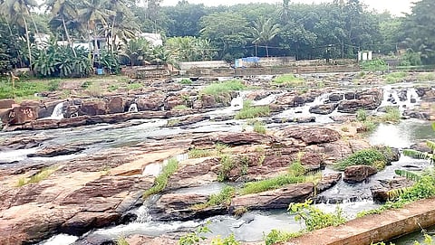அருவிக்கரையில் இயற்கை எழில் கொஞ்சும் பகுதியில் பாய்ந்தோடும் சிற்றருவிகள்.