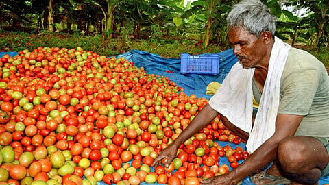 கோப்புப்படம்