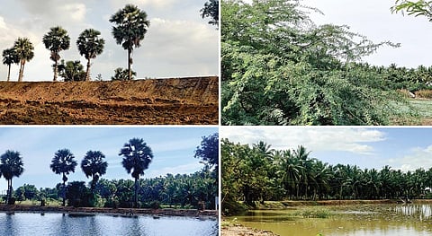 சமூகப் பொறியாளர்கள் - 7: இந்தியாவின் ‘ஏரி’ மனிதர்!