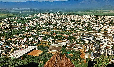 மேற்குத் தொடர்ச்சி மலையின் பின்னணியில் ராஜபாளைய ம் நகரின் தோற்றம்.