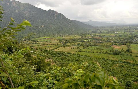 முதல்வரோ, உதயநிதியோ கல்வராயன் மலைக்குச் சென்று பார்வையிட வேண்டும்: ஐகோர்ட் அறிவுறுத்தல்