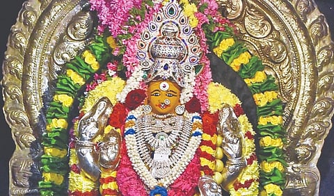 புலியகுளம் மாரியம்மன் | ஆடி மாதமும் அம்மன் திருவருளும்