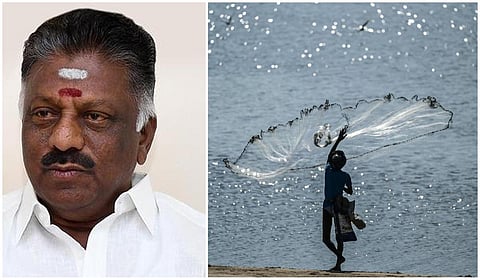 ஓபிஎஸ்
