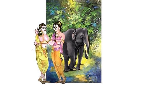பாலையில் படரும் பசுஞ்சொற்கள் - 12: யானையின் மகிழ்ச்சியும் வருத்தமும்