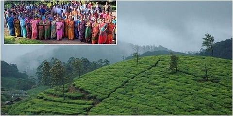 மாஞ்சோலை வழக்குகள் வேறு அமர்வுக்கு மாற்றம்: உயர் நீதிமன்ற மதுரைக் கிளை