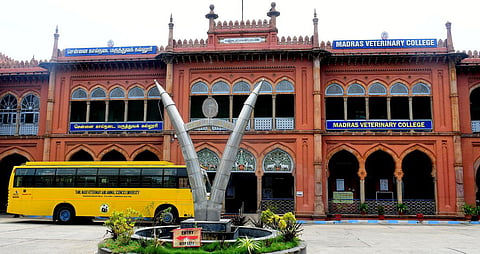 கால்நடை மருத்துவ படிப்பு: மூன்றாம் பாலினத்தவர் விண்ணப்பத்தை பரிசீலிக்க ஐகோர்ட் உத்தரவு