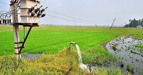 விவசாய மின் விநியோகத்துக்கு தனி வழித்தடம்: பணிகளை தொடங்கியது மின்வாரியம்