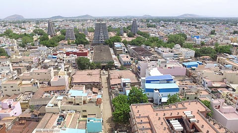 படம்: எஸ்.கிருஷ்ணமூர்த்தி
